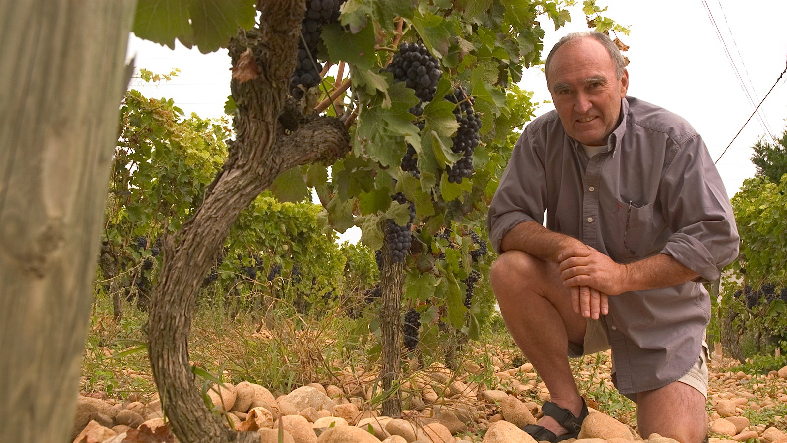  Alain Graillot encontró la grandeza de la vinificación en los suelos rocosos del norte del valle del Ródano.
